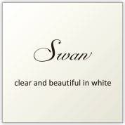 ビジネスシャツ：SWAN